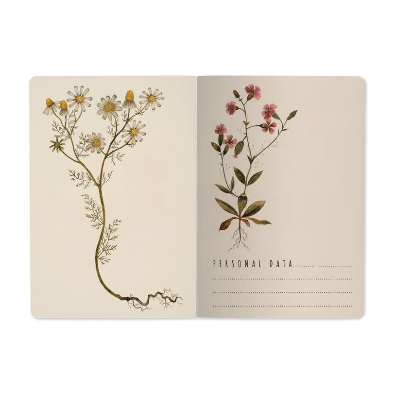 Bruno Visconti Notebook - Violets & Greens 505/89