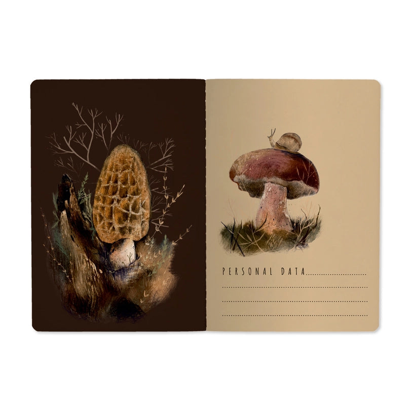 Bruno Visconti Notebook - Mushroon Dreams 505/80