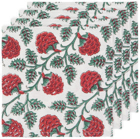 Danica Carnation Block Print Napkins Set/4 HNP2733D