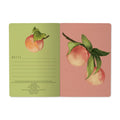 Bruno Visconti Notebook - Peaches on the Tree 505/92