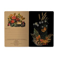 Bruno Visconti Forest Mushrooms Notebook 505/52
