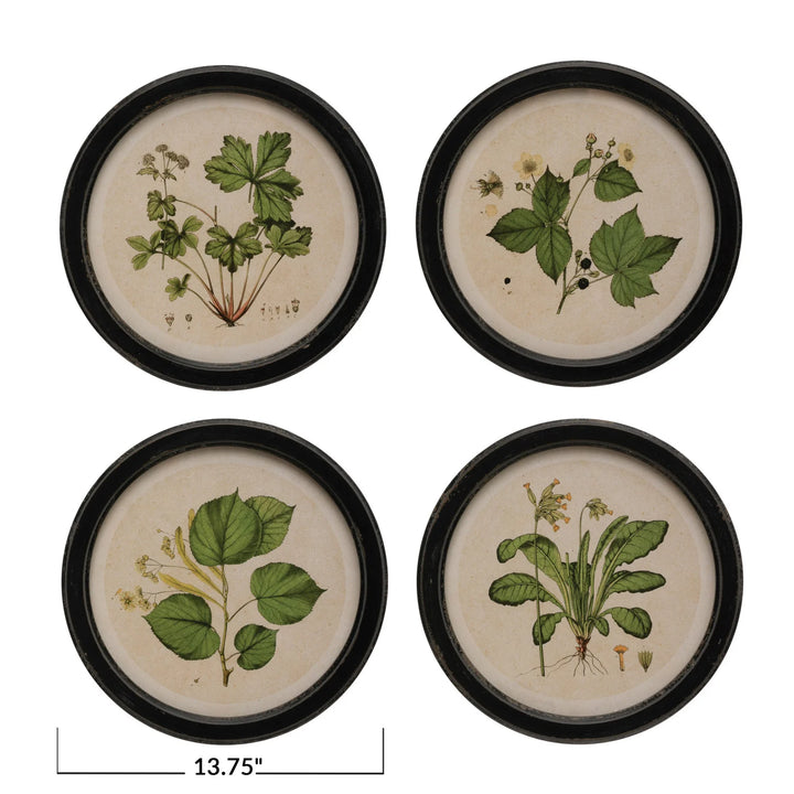 Creative Coop Framed Botanicals DF3358