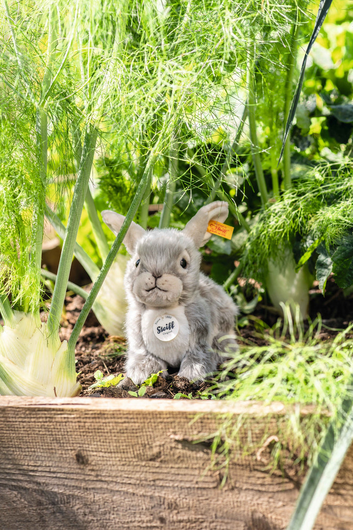 Steiff Dormili Rabbit 067488