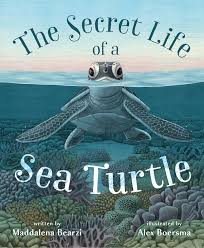 The Secret Life Of A Sea Turtle   by Maddelena Bearzi