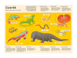 Encyclopedia Of Animals For Young Readers By Tomas Tuma