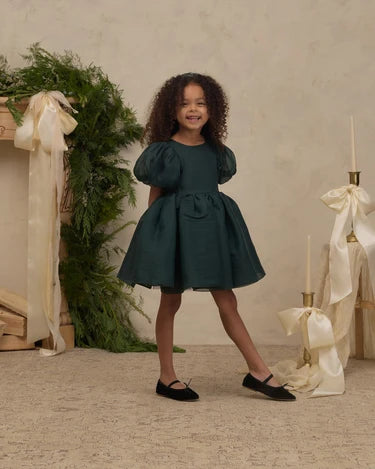 Noralee Girls Sofia Dress   NL090GRMP   Green Shimmer