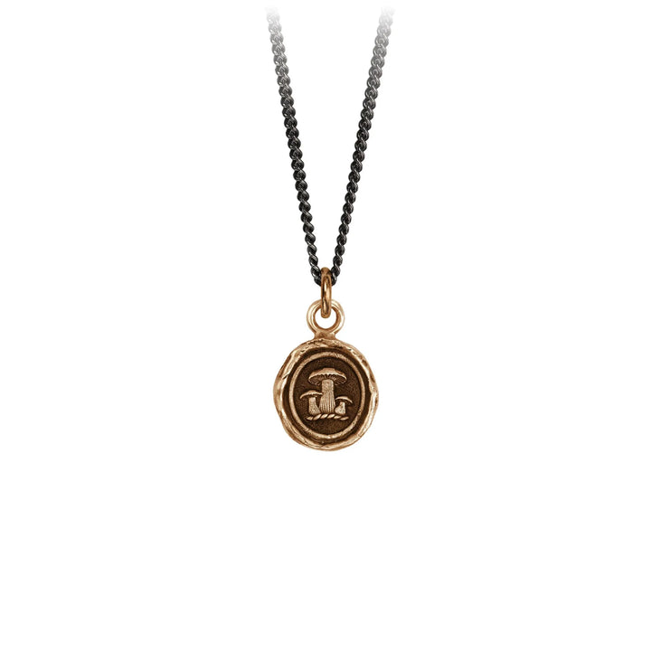 Pyrrha Earthy Appreciation Talisman  BN2301-16  Bronze