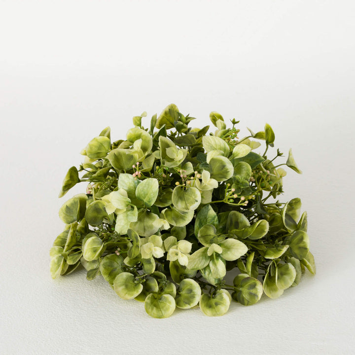 Sullivans Eucalyptus Orb EMORB