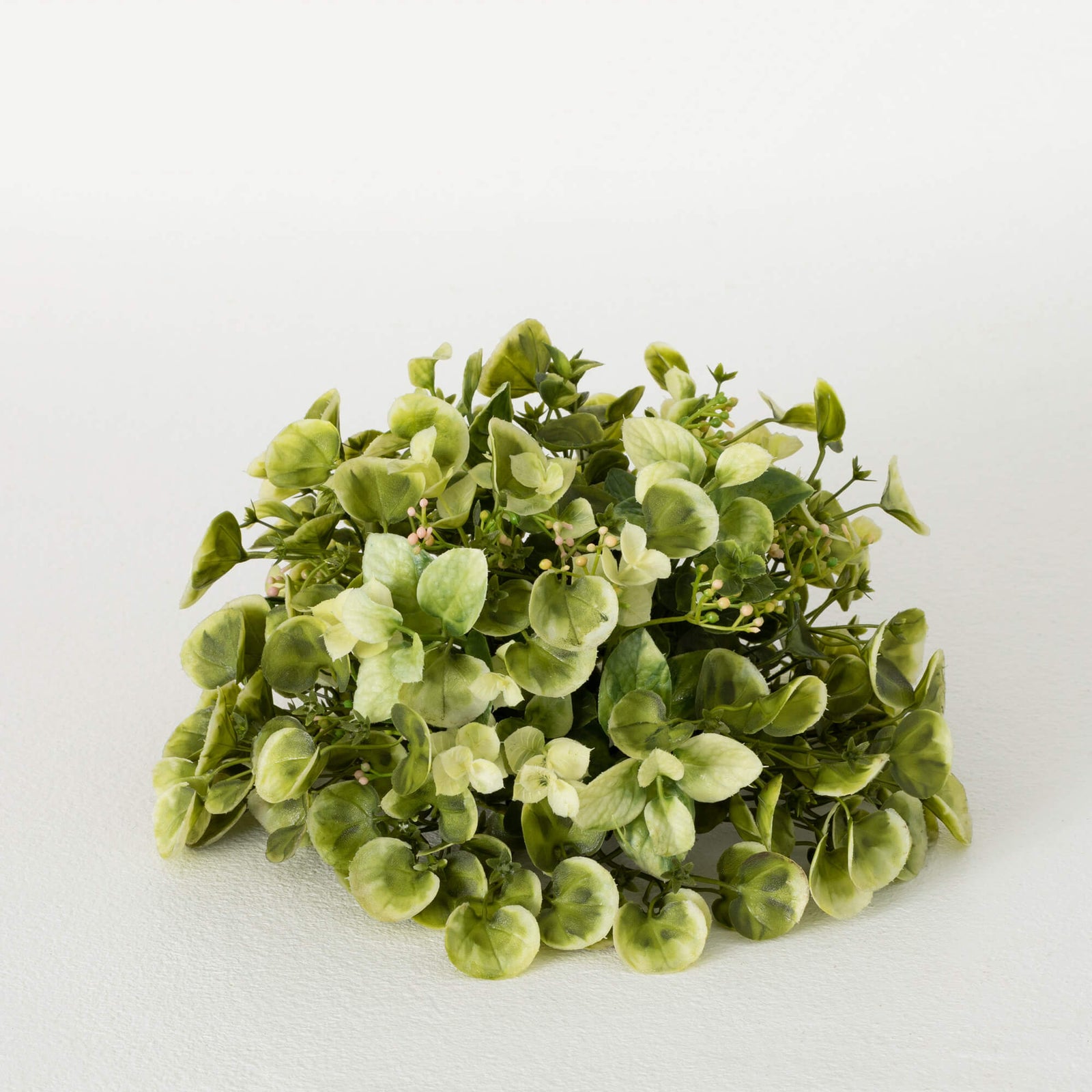 Sullivans Eucalyptus Orb EMORB