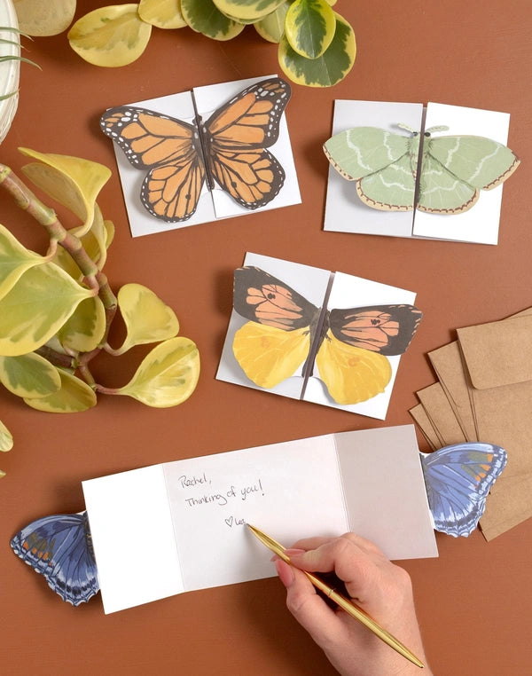 1Canoe2 Flutter Friends Greeting Card Set