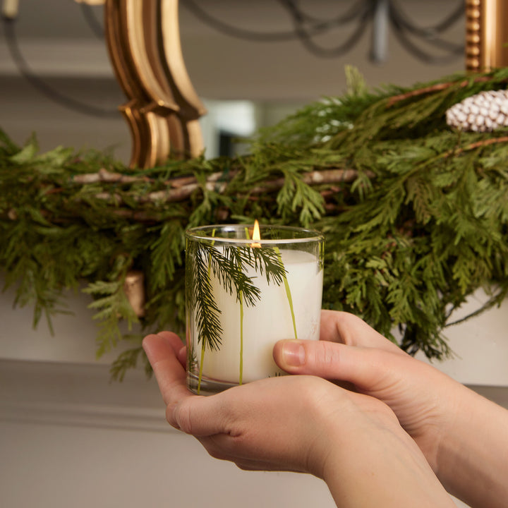 Thymes Frasier Fir 6.5 oz Candle Pine Needle Design