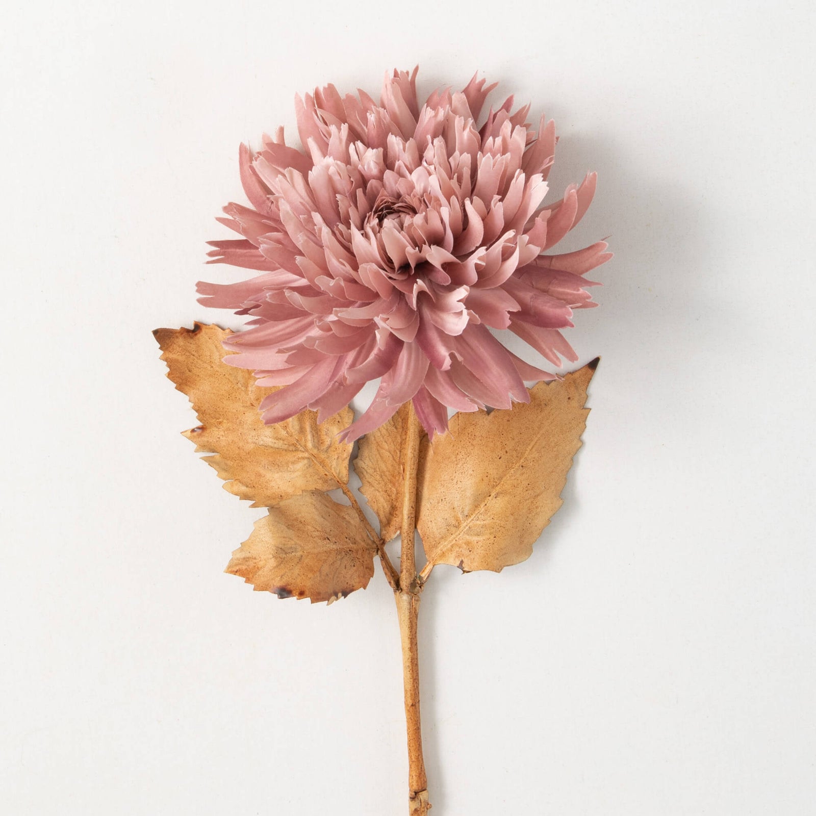 Sullivans Blossoming Pink Dahlia Stem GA1566