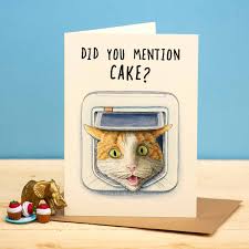 Bewilderbeest Birhday Card - Cat Flap Cake