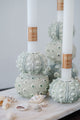 Design Home Sea Urchin Candle Holder