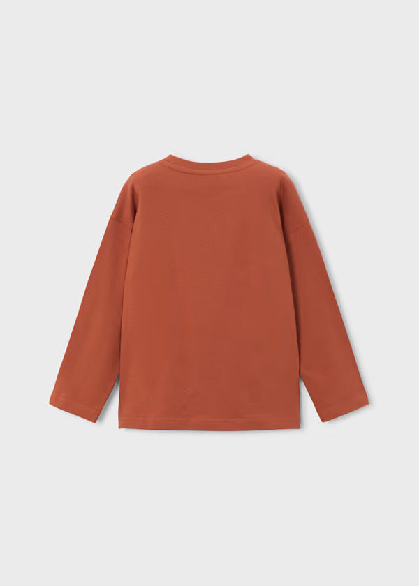 Mayoral Boys Long Sleeve Tee   4013-31   Teja