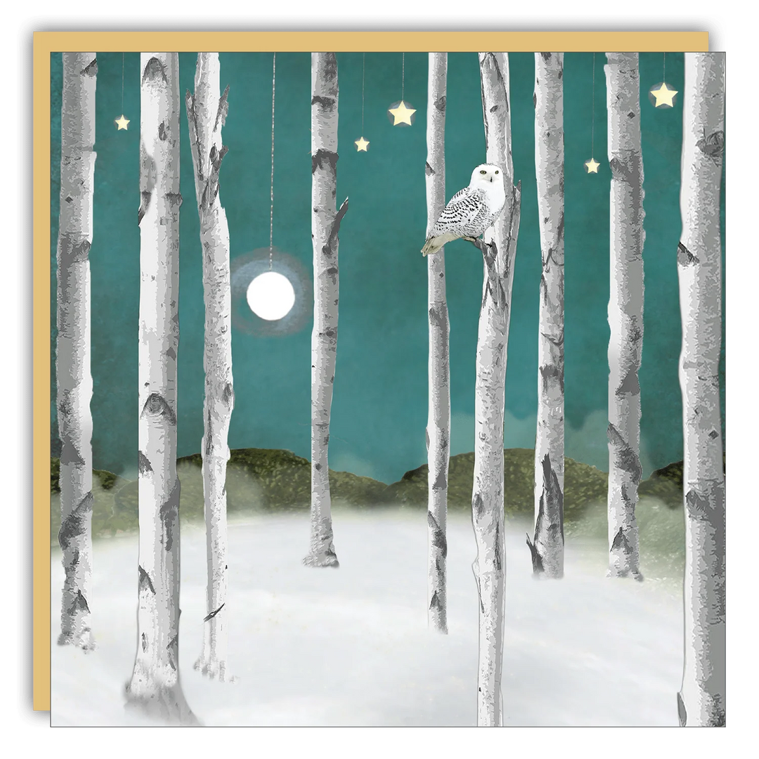 Cedar Mountain Holiday Card - Snow Owl