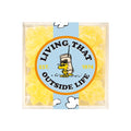 Sugarfina Lemonade Stars - Living that Outside Life
