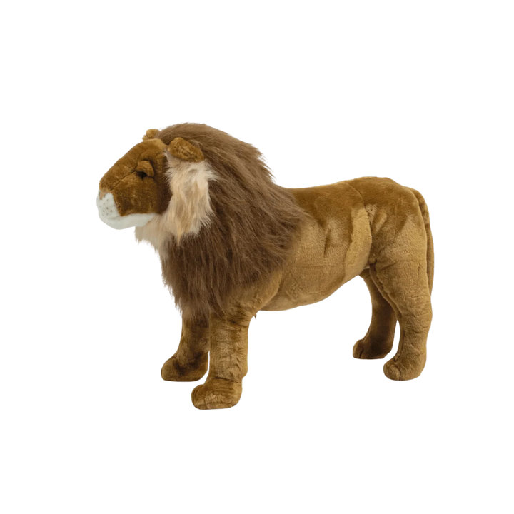 Wild & Soft Head -  Lion