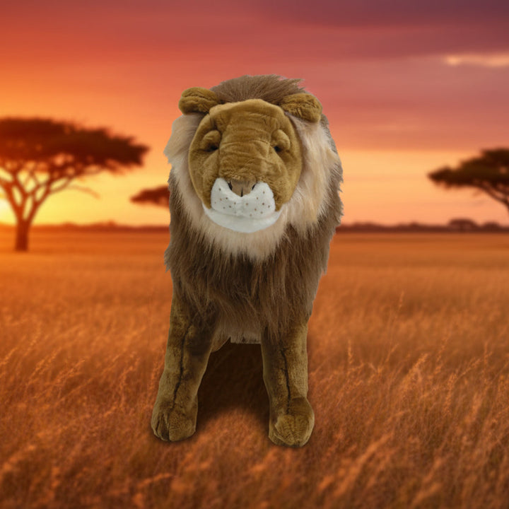 Wild & Soft Head -  Lion
