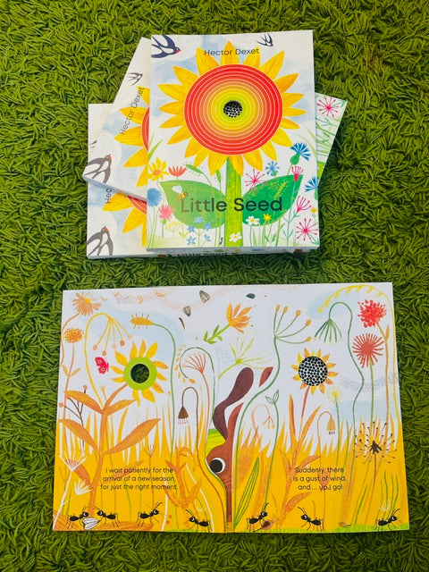 Little Seed   by Hector Dexet