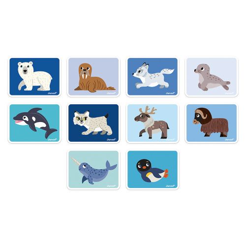 Janod Magnetic Book - Polar Animals J02599