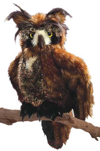 Folkmanis Great Horned Owl Puppet   2403