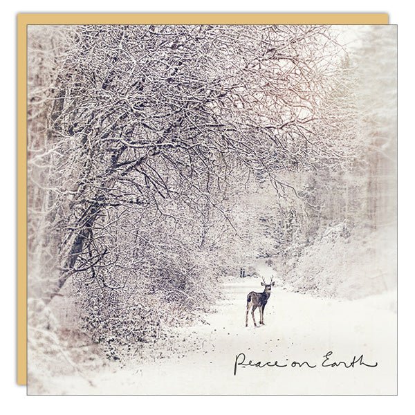 Cedar Mountain Holiday Card - Peace on Earth