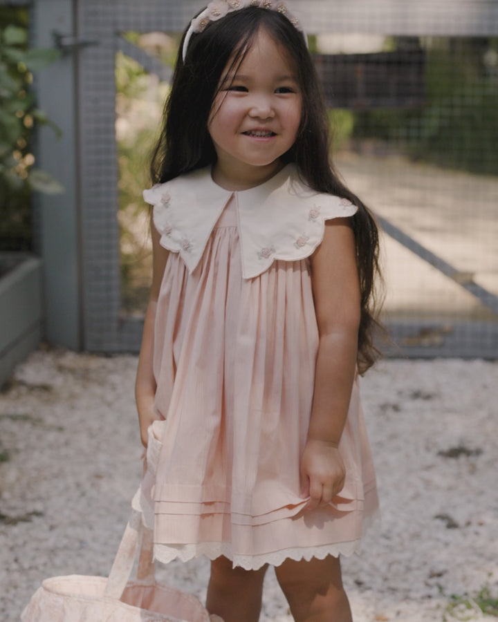 Noralee Baby Girl Florence Dress   NL127JASM     Petal