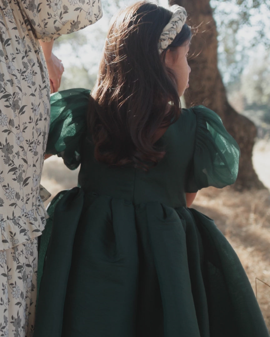 Noralee Girls Sofia Dress   NL090GRMP   Green Shimmer