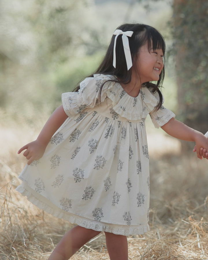 Noralee Baby Girl Amelia Dress   NL050PRNC   Frost Bouquet