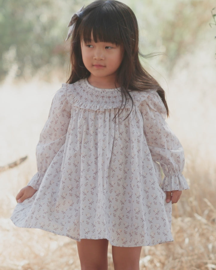 Noralee Baby Girl Patsy Dress   NL171SLEP   Frost Bloom