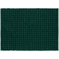 Danica Ribbed Spruce Silver Placemats