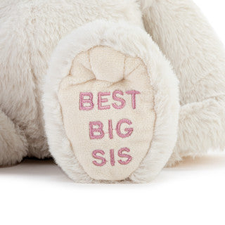 Demdaco Best Big Sis Dog