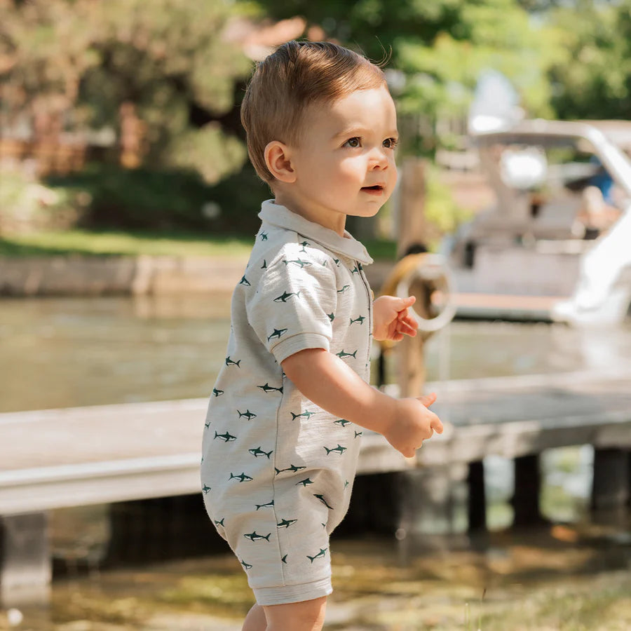Petit Lem Baby Boy Short Sleeve Collared Romper   26SGW37N02   Light Grey