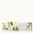 Thymes Frasier Fir Pine Needle Candle Set**