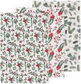 Danica Bakers Floursack Dishtowels Set/3 Winterberry NKT2346D