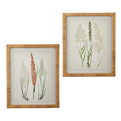 Raz 20" Dried Botanical Rattan Framed Print