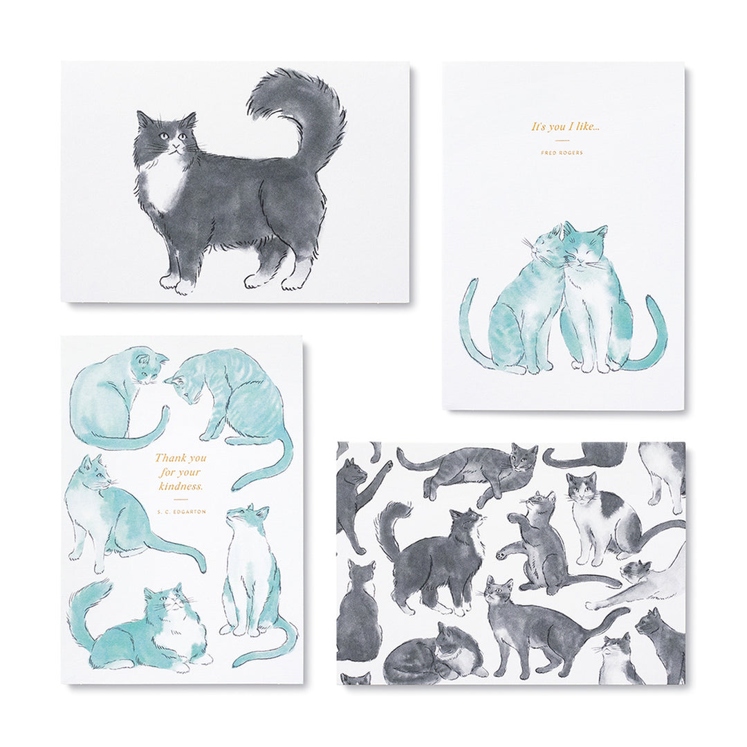 Compendium Boxed Note Card Set  10134  For Appreciation and Friendship