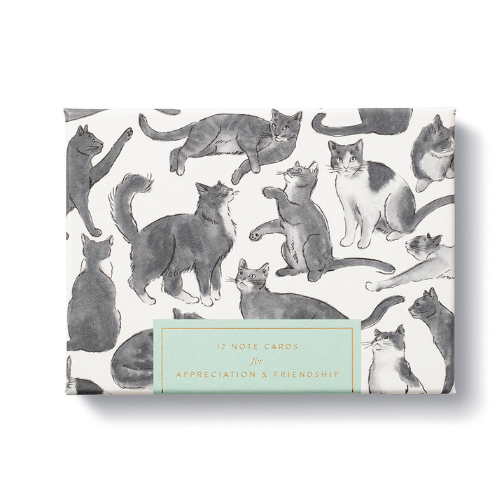 Compendium Boxed Note Card Set  10134  For Appreciation and Friendship
