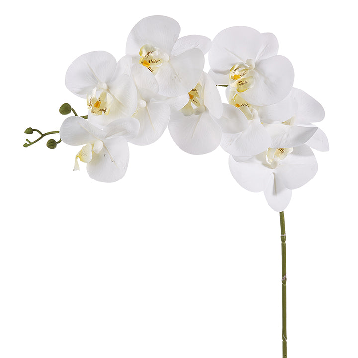Raz White Orchid Stem F4322657