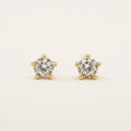 Lovers Tempo Boxed Cubic Zirconia Stud Earrings*