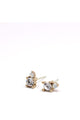 *Lovers Tempo Dolce Studs Clear