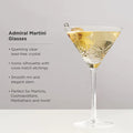 Viski Admiral Martini Set/2