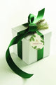 Thymes Frasier Fir Sachet