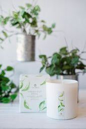 Thymes Fresh Cut Basil Boxed Candle*